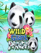 maxbet slot ยอดฮิต วิธีเล่นด้วยความสนุก